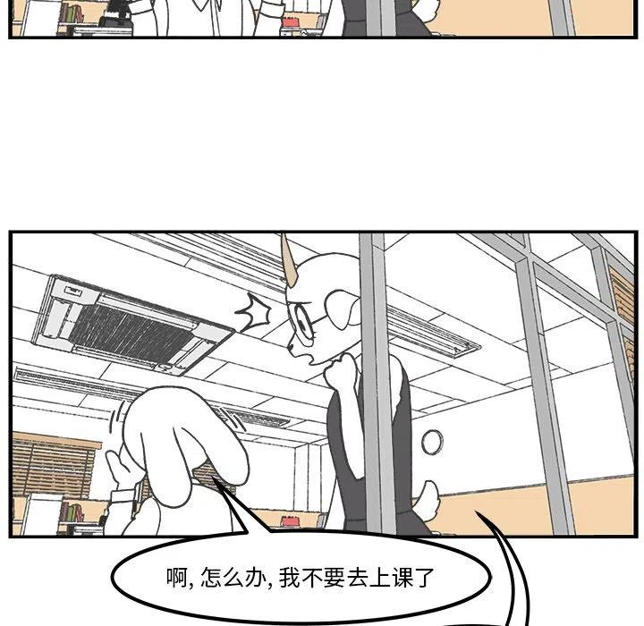 4054