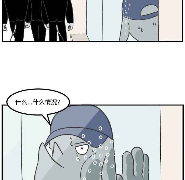 4062