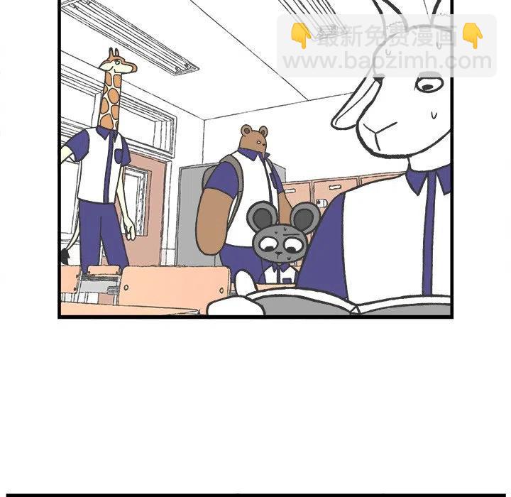 4223