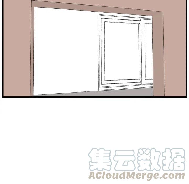 4238