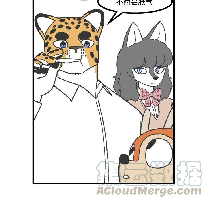 6118