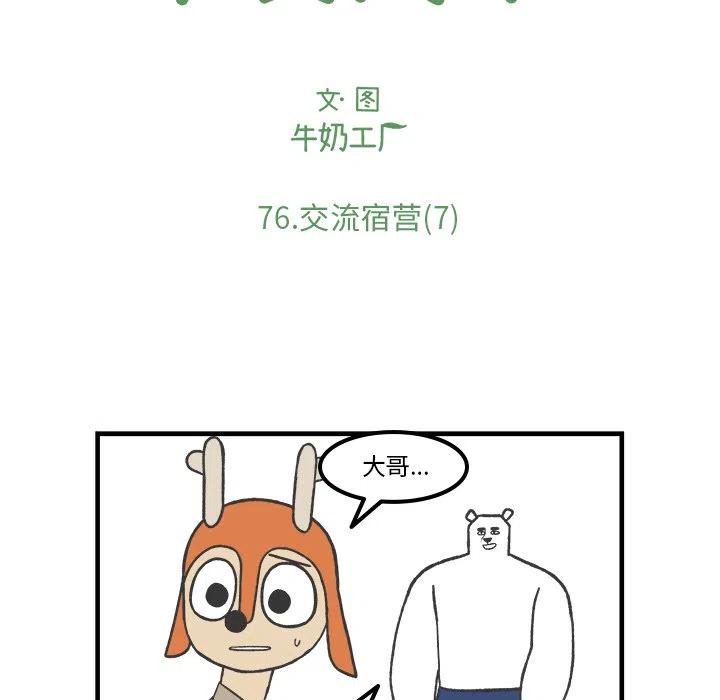 7617