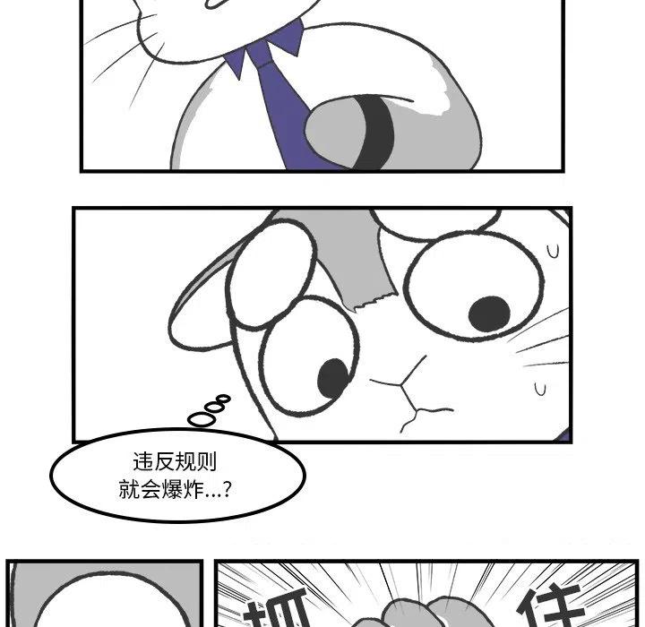 7627
