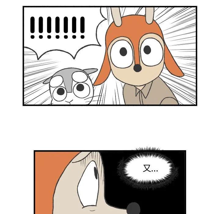 7817