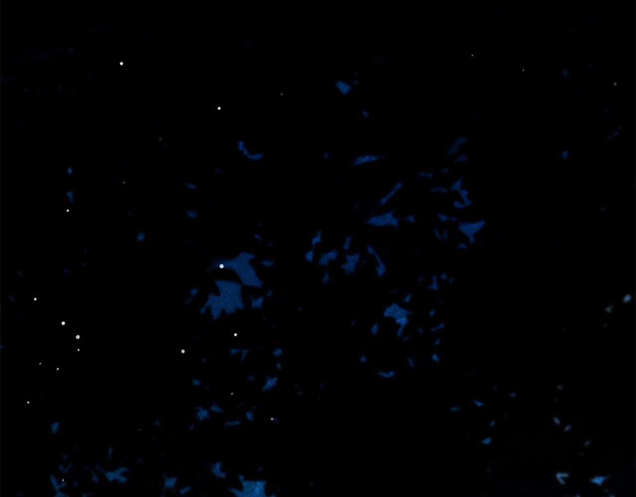 第21话 恐怖的怪物2