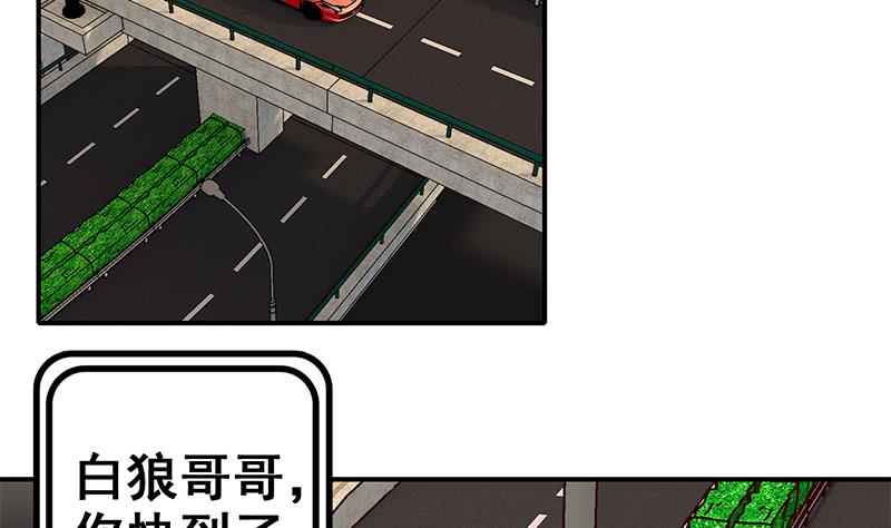 第51话 苏喵被非礼3