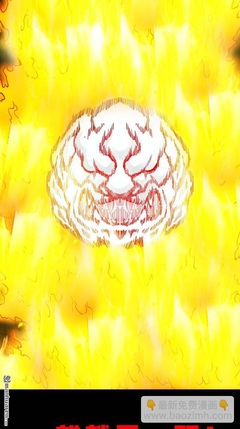 燃面41