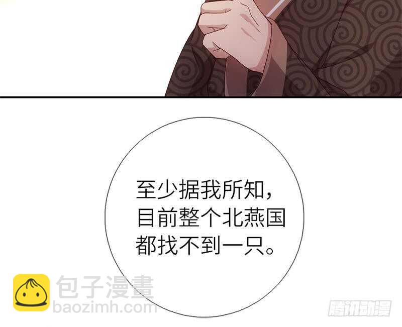 第55话 天降美人21