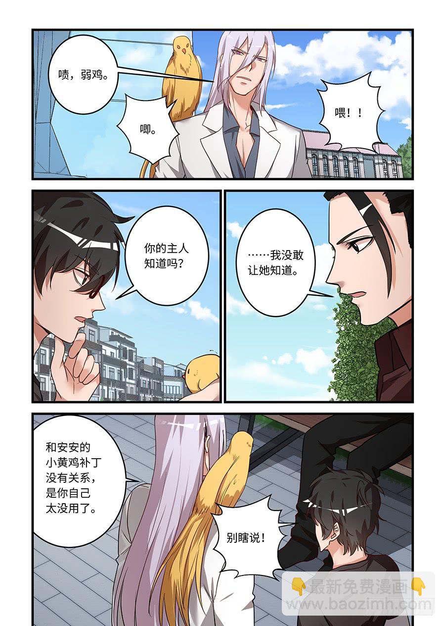 第二百零七话：长不大的小黄鸡2
