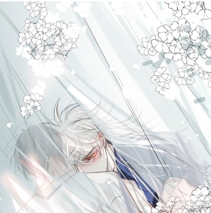 第109话 师兄醒啦！0