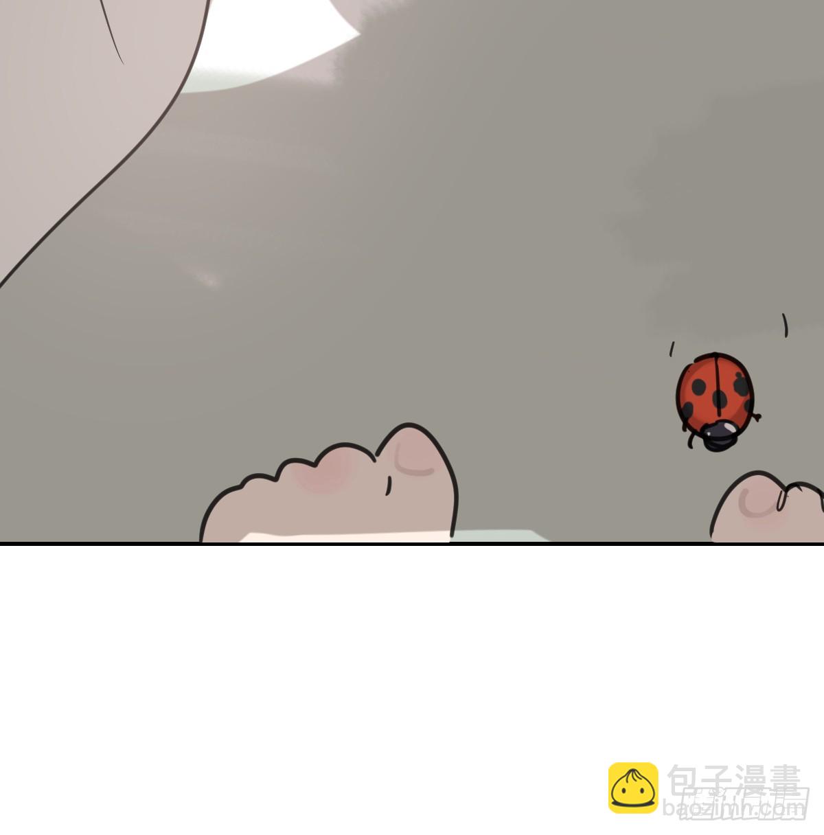 后篇12 偷藏5