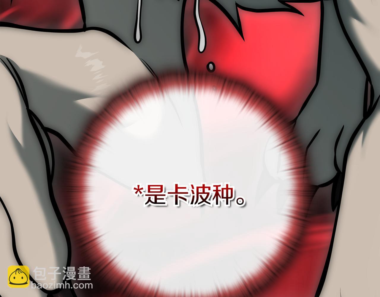 第15话 S+等级卡波种207
