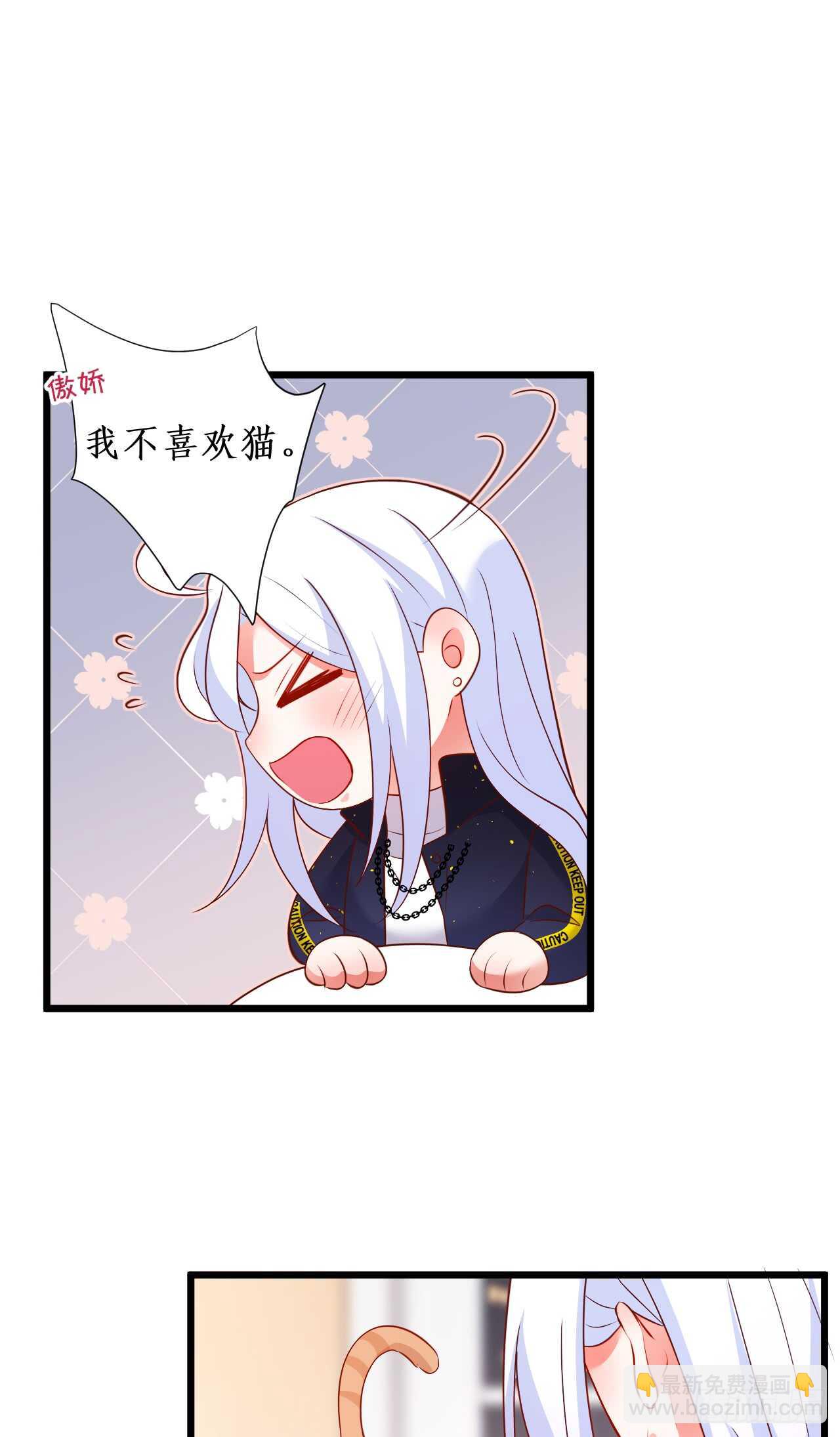 小猫咪，发现你了~37