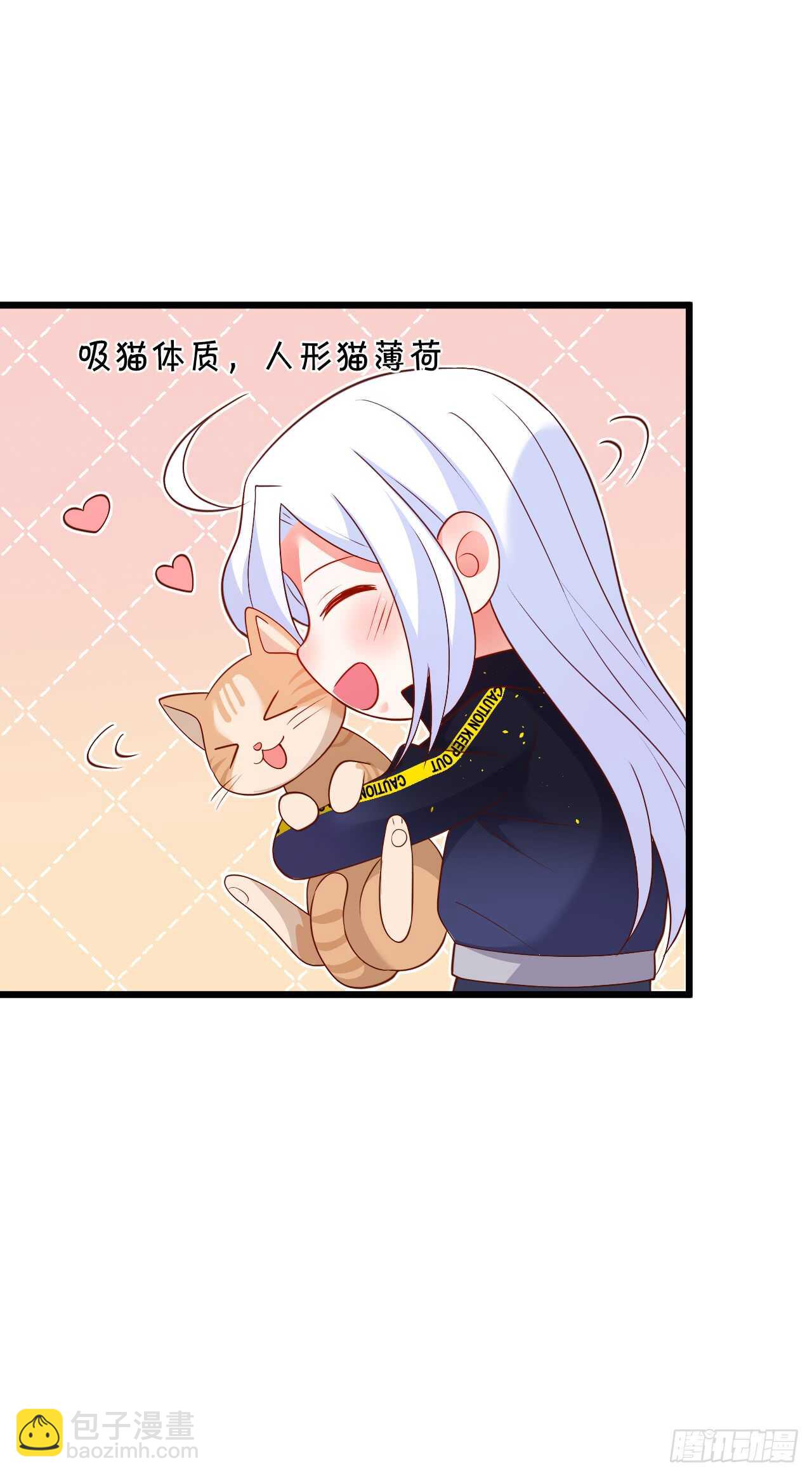 小猫咪，发现你了~39