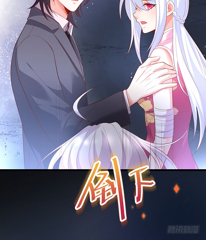 你不配跟白绯比！30