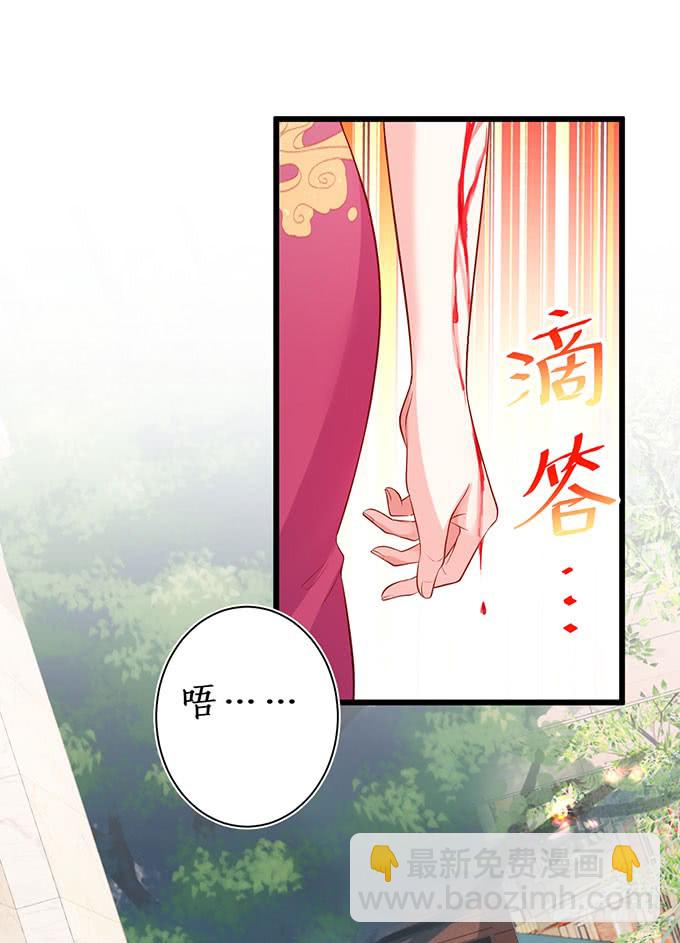 你不配跟白绯比！5