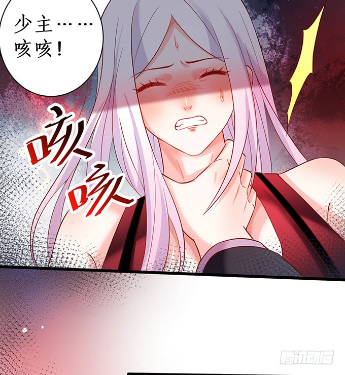 你不配跟白绯比！65