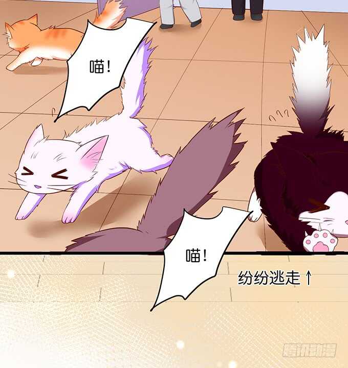 最后的温存……24