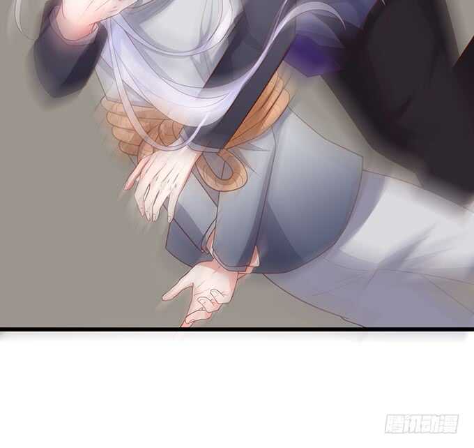 选择！67