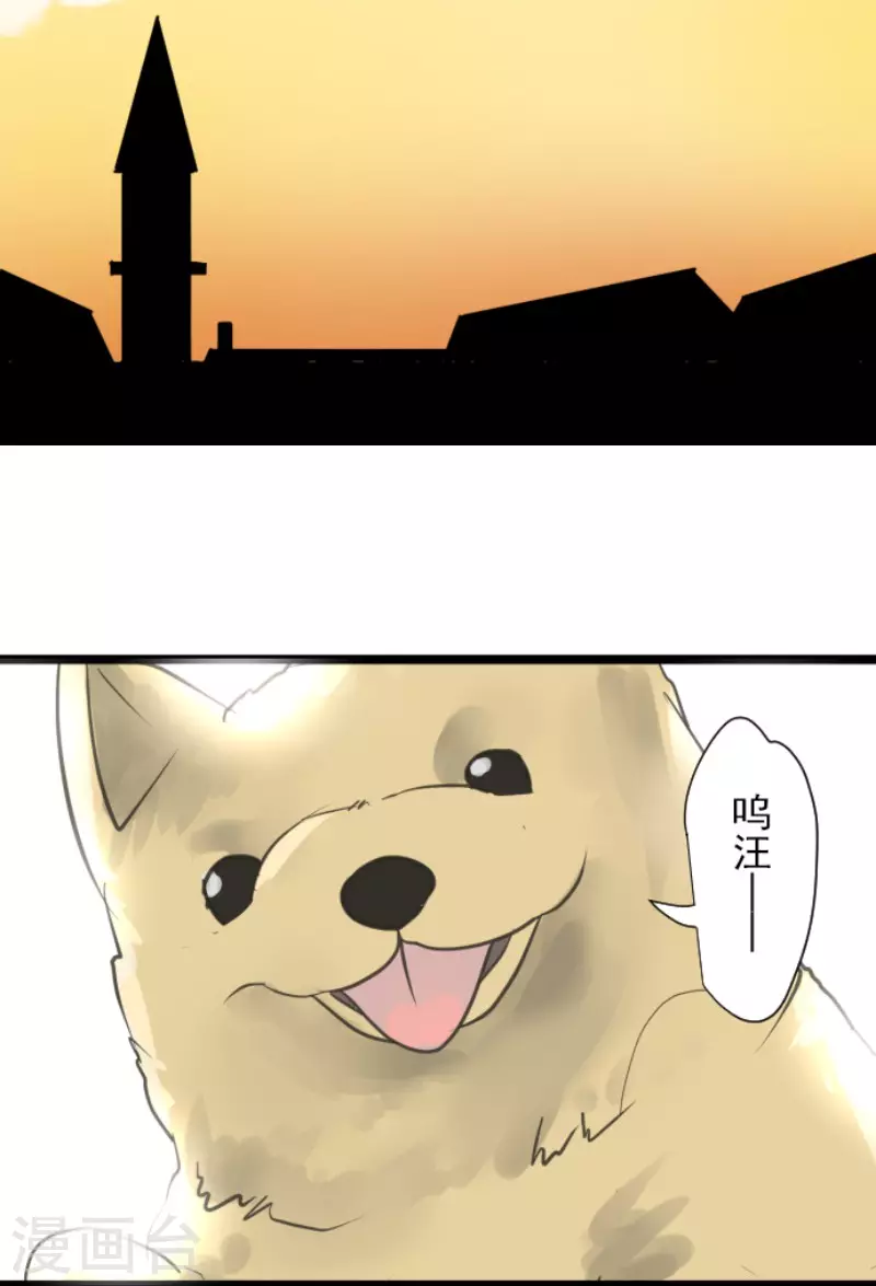 第134话 威利诺31