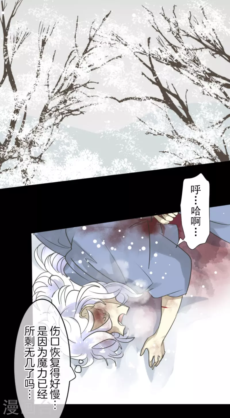 第216话 过去篇3053