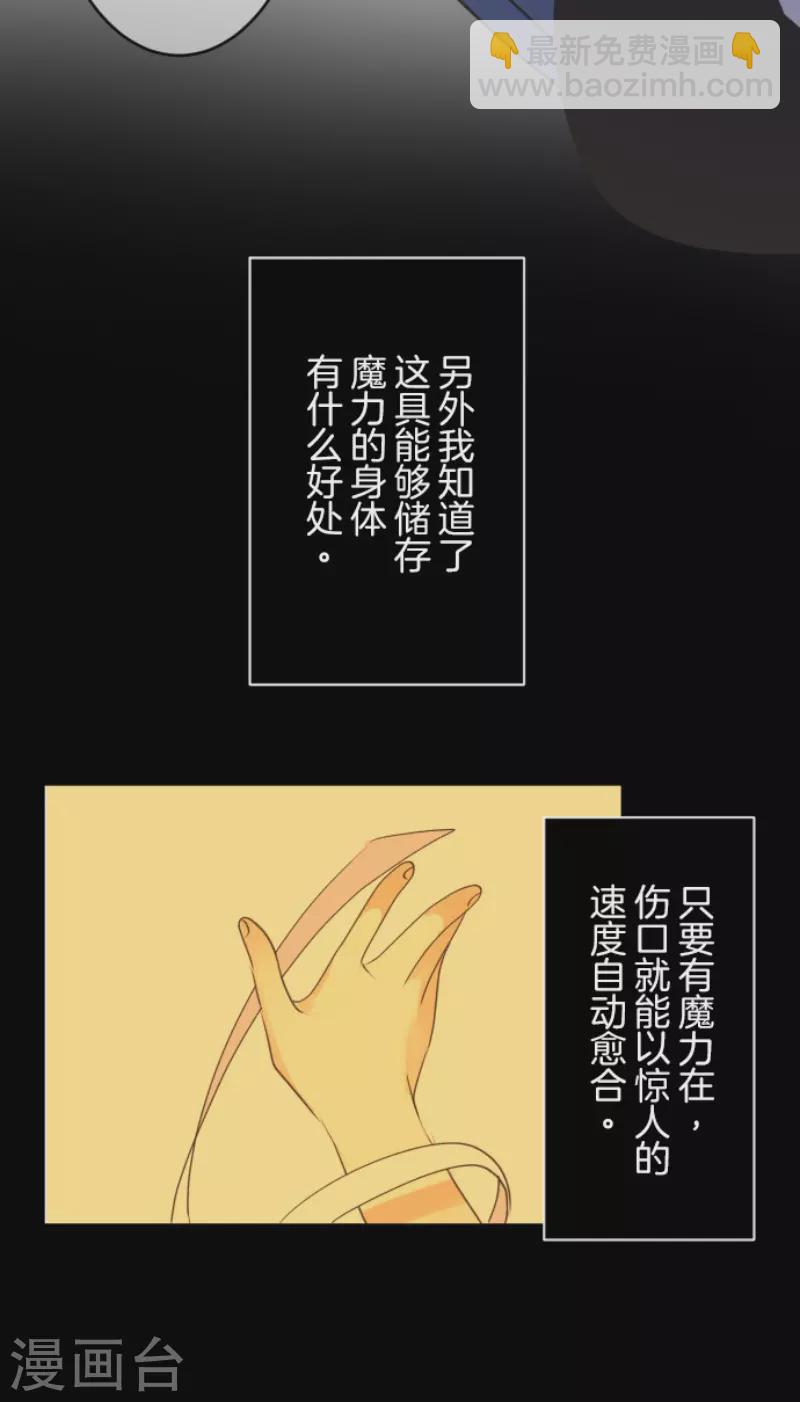 第216话 过去篇306