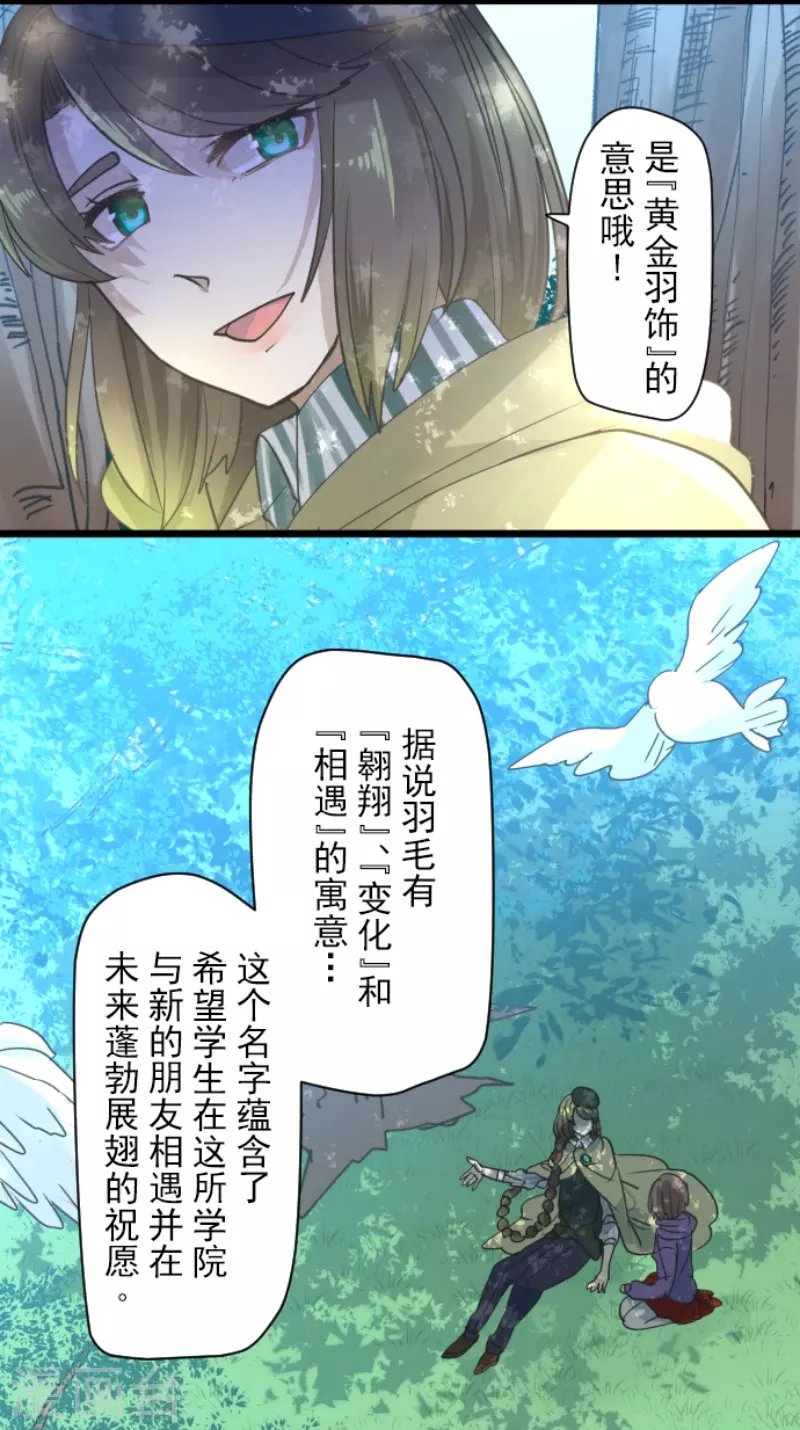 第223话 黄金羽饰6