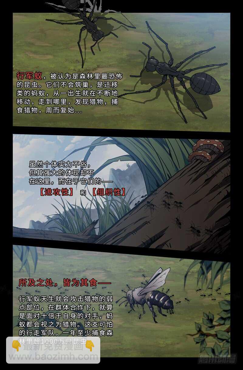 忧虑3