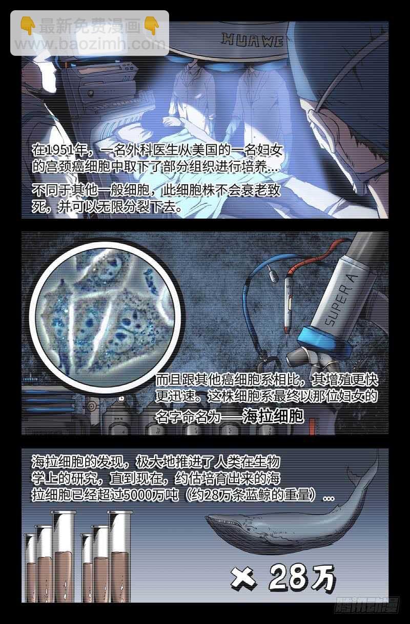 海拉细胞10