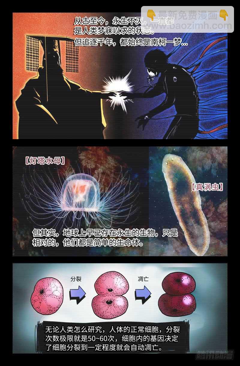 海拉细胞8