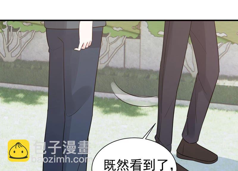 滴251话 顾天雄的的决定43