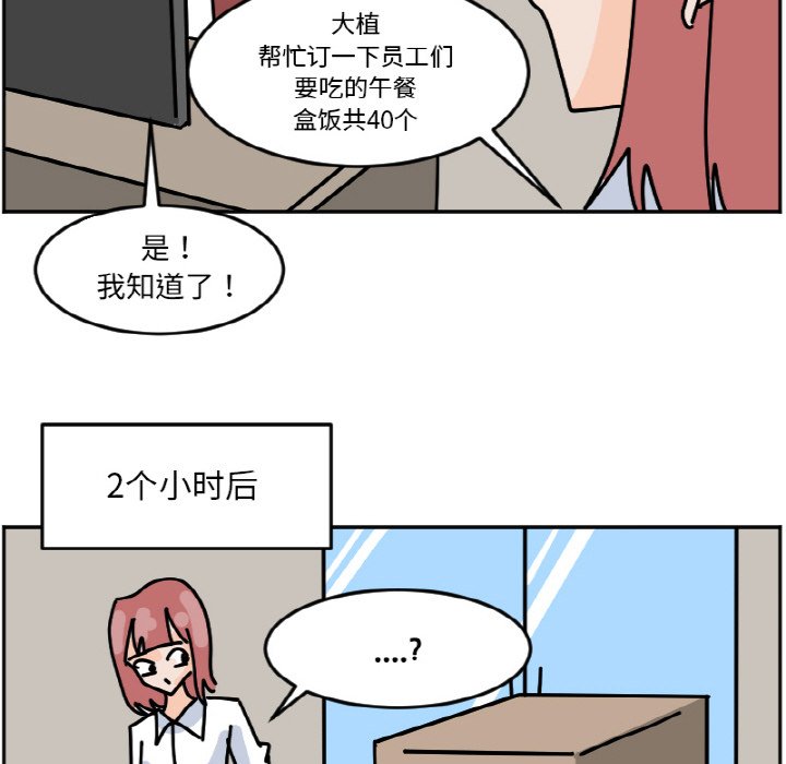 4043