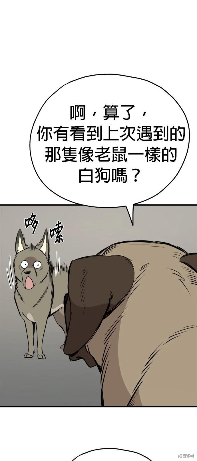 第19话22