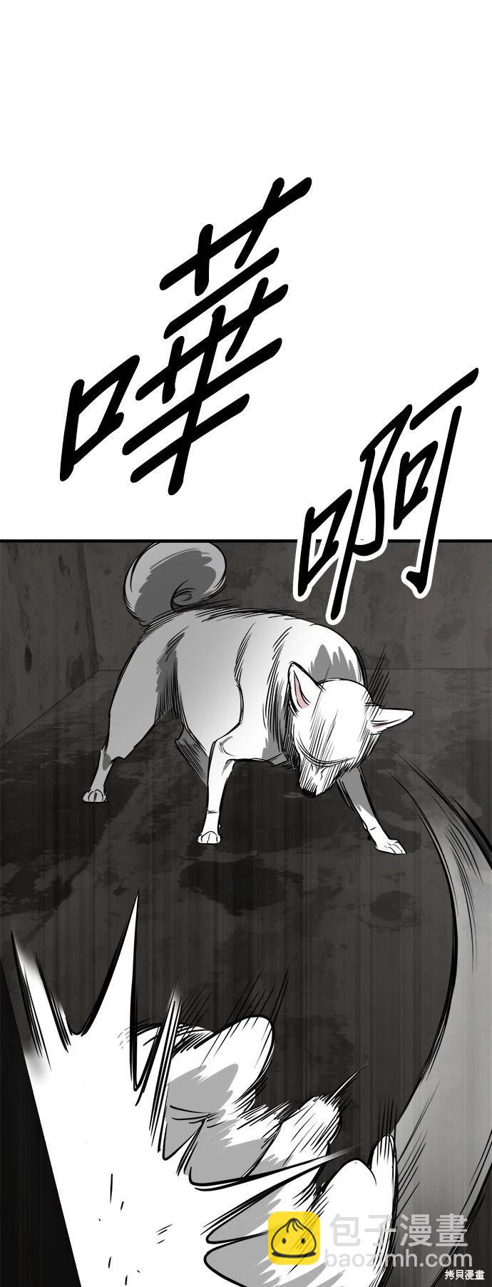 第53话66