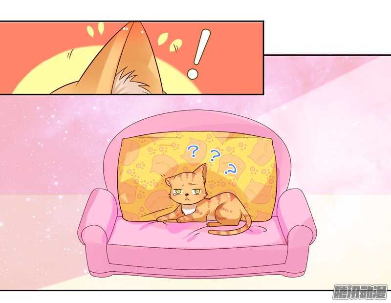 本王，定要将她抢回来！17