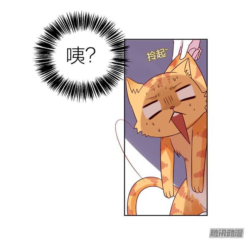 本王，定要将她抢回来！19