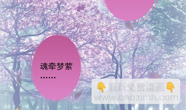 第115劫 孤寂的背影62