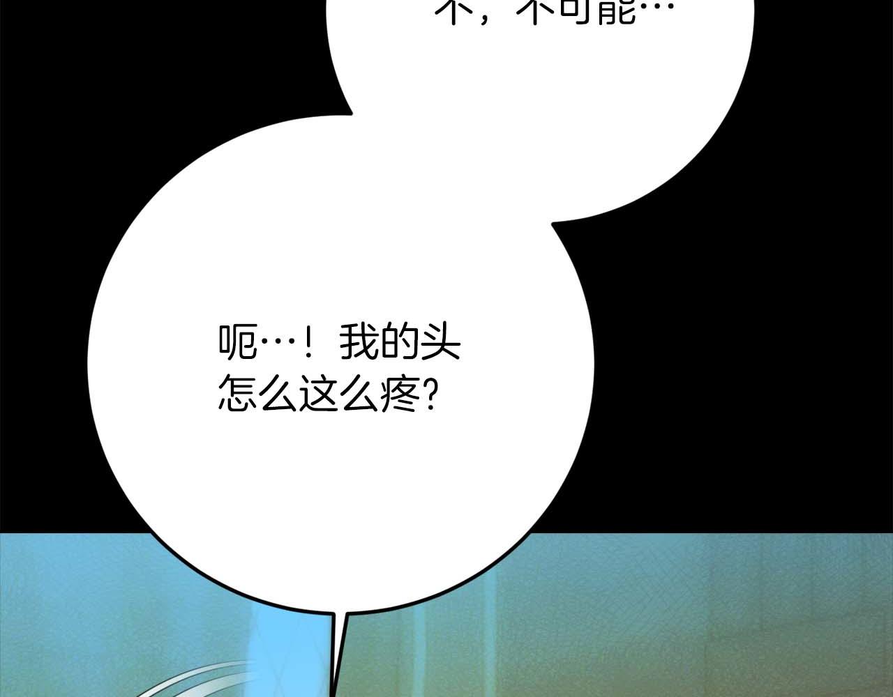 第44话 自私的先皇后，背负一切伤痛的皇帝117