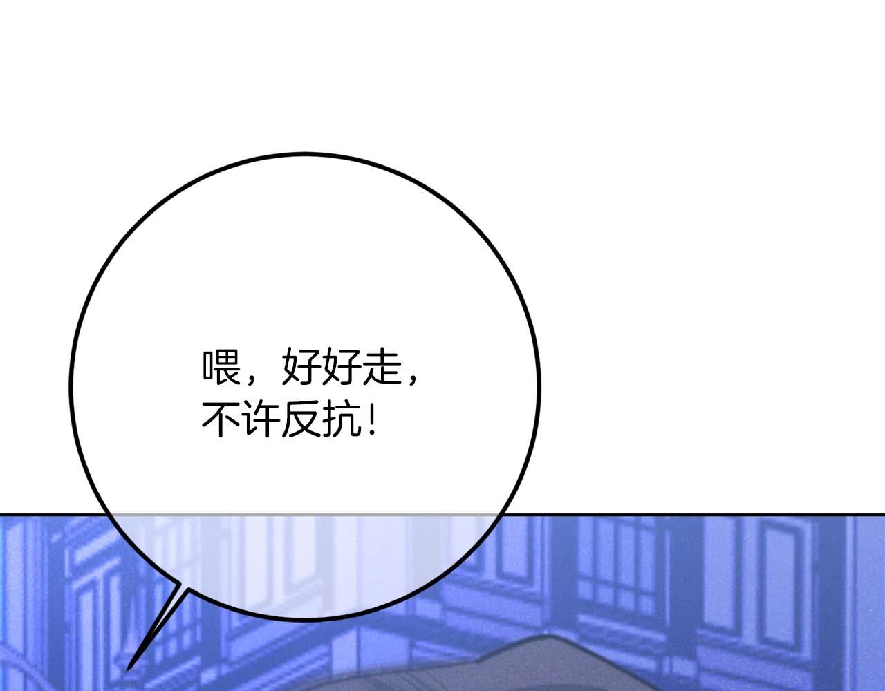 第44话 自私的先皇后，背负一切伤痛的皇帝232