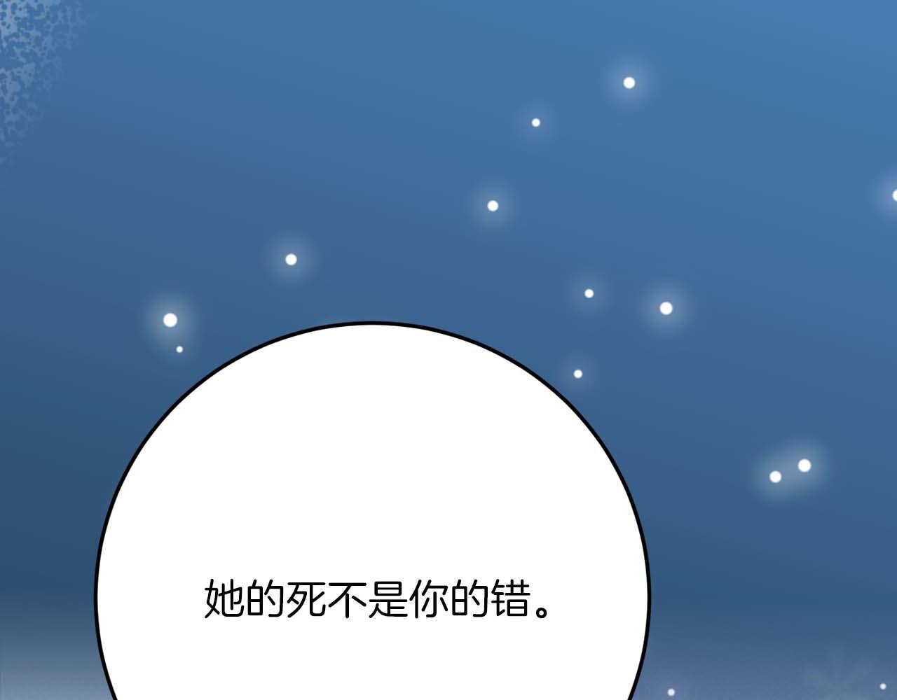 第44话 自私的先皇后，背负一切伤痛的皇帝247