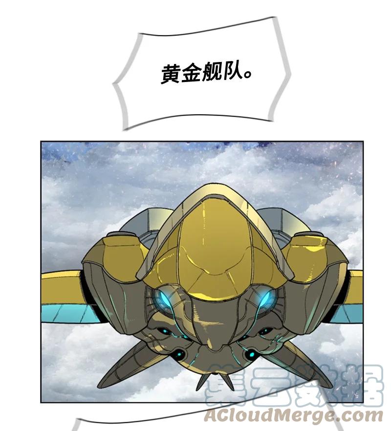114 全面进攻12
