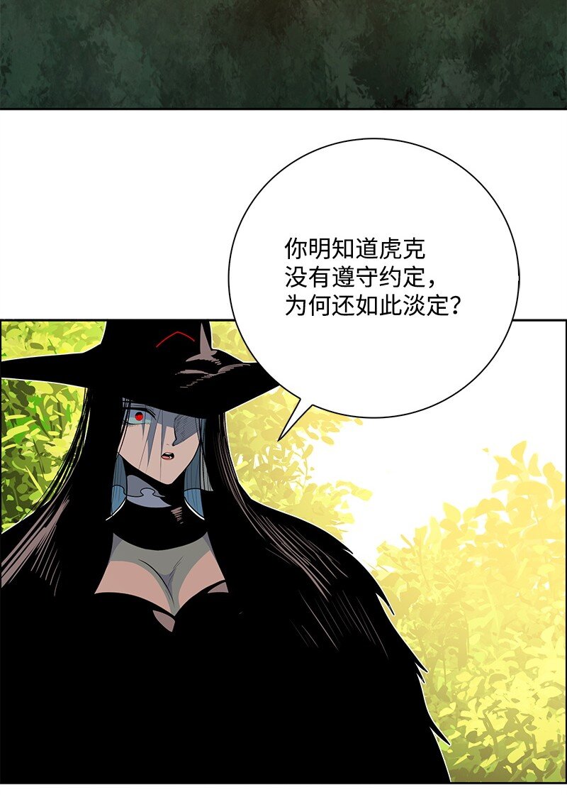 260 虎克的危机111