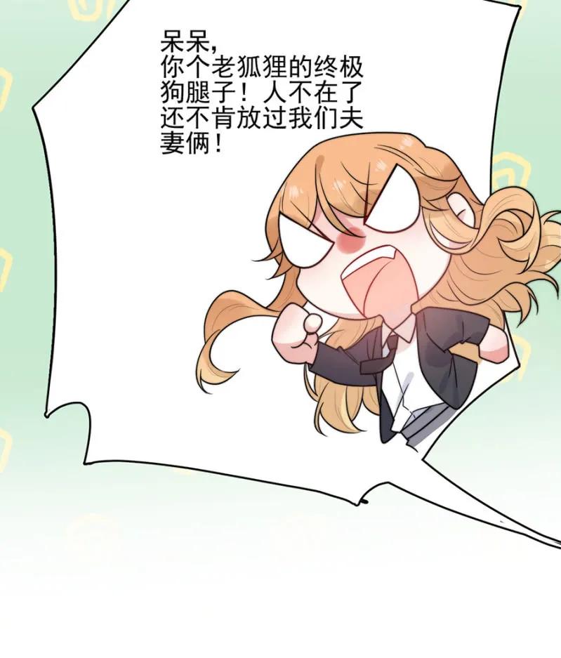 呆呆二号？25