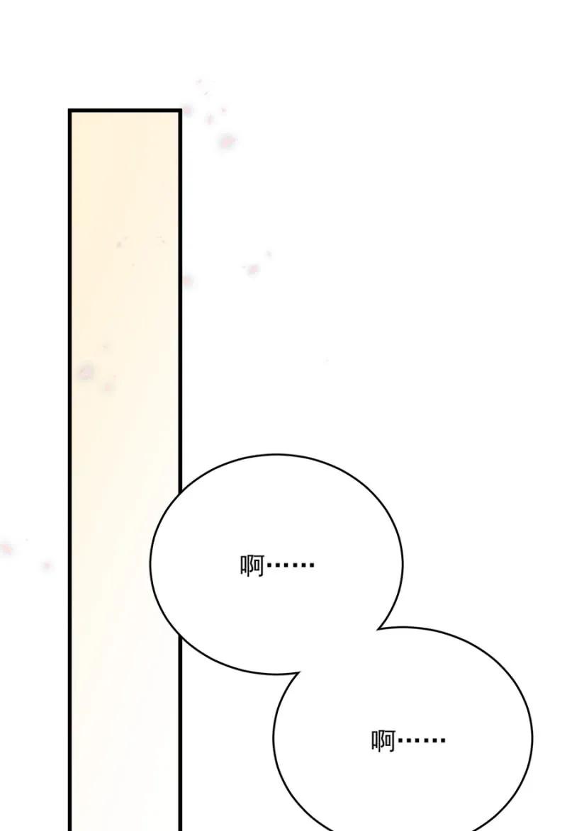 呆呆二号？26