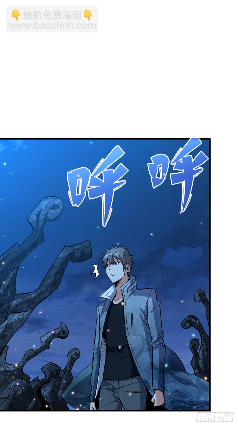 浑身是宝11