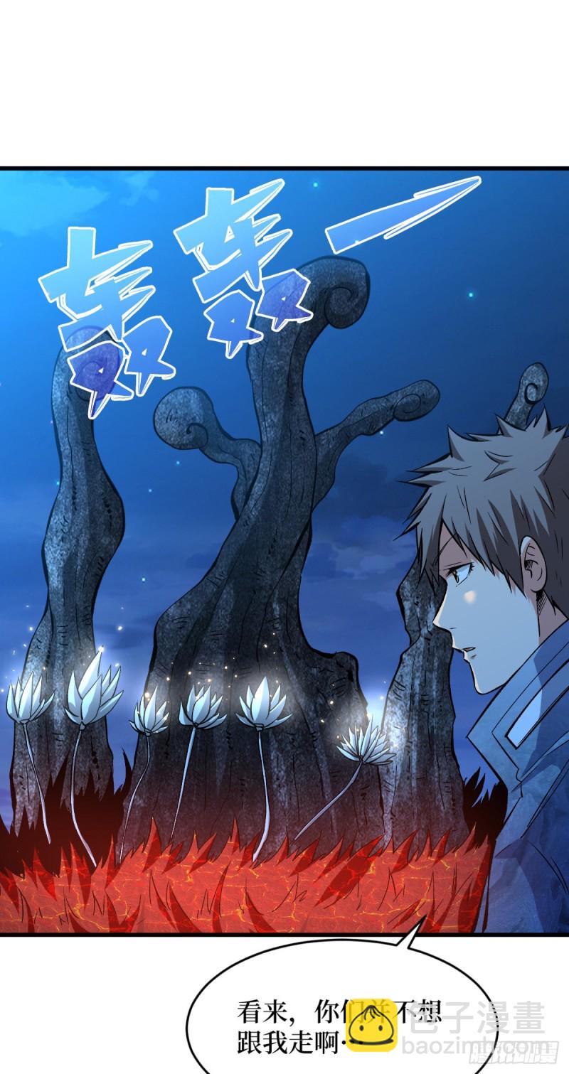 浑身是宝12
