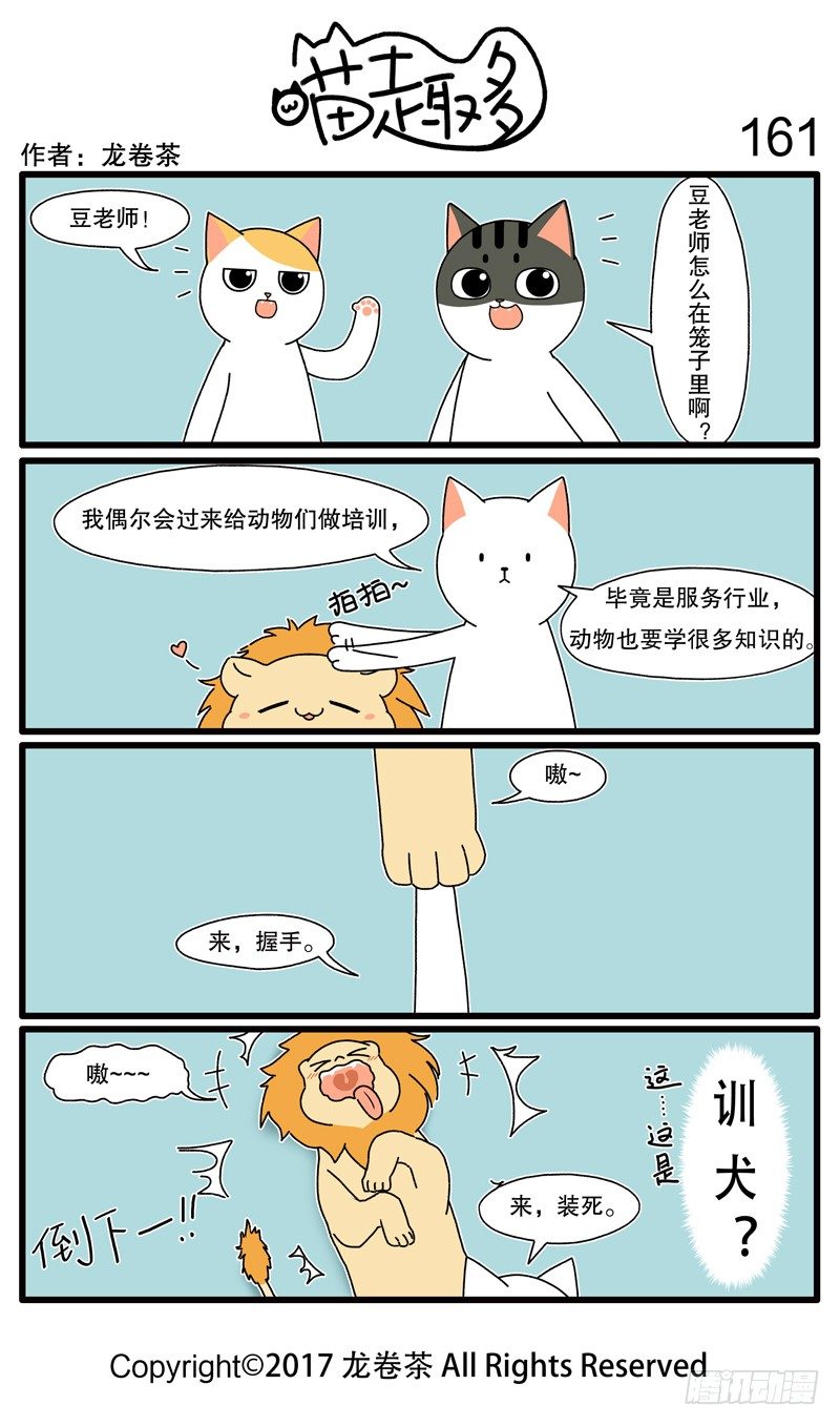 155~1746