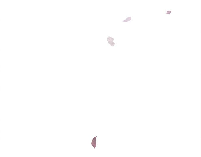 第8话231