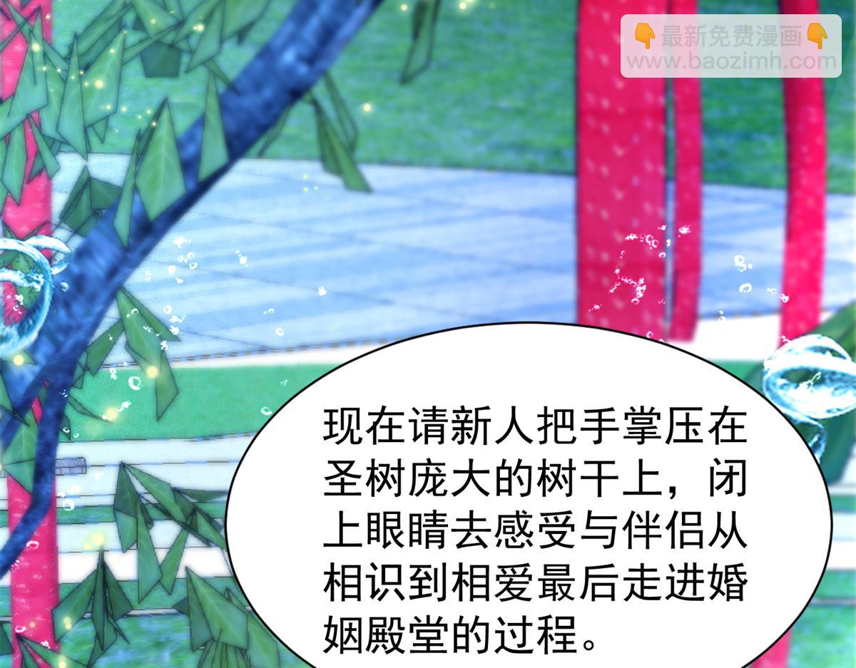 235 大婚仪式84