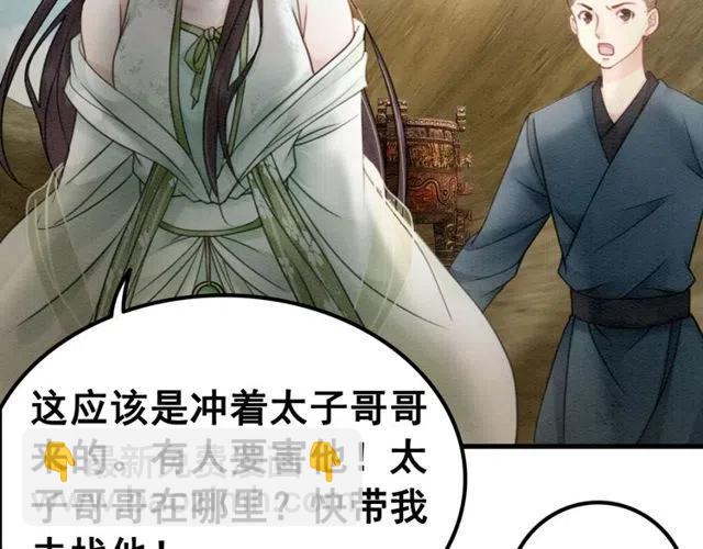 第43话 公主要谋反？34